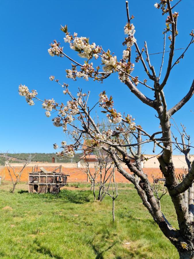 Murias de Rechivaldo Casa Rural Las Aguedas מראה חיצוני תמונה