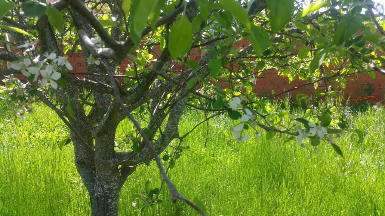 Murias de Rechivaldo Casa Rural Las Aguedas מראה חיצוני תמונה